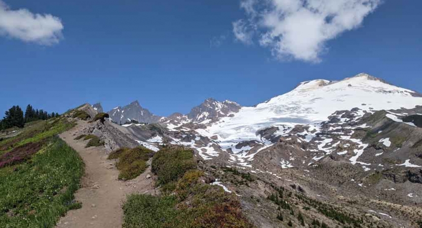 a trail leads to a snowy mountain in the pacific northwest
